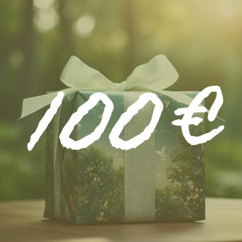 Bon cadeau 100 €