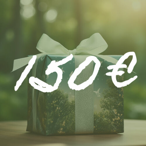 Bon cadeau 150 €