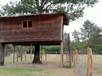 La cabane autour de l’arbre - Le Nid dans les Bruyères