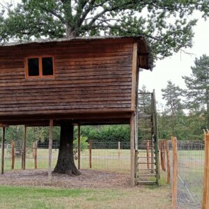 La cabane autour de l’arbre - Le Nid dans les Bruyères