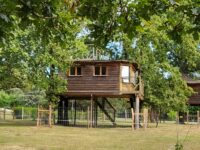 La cabane dans les arbres - Le Nid dans les Bruyères