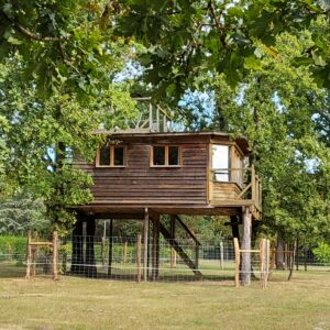 La cabane dans les arbres - Le Nid dans les Bruyères