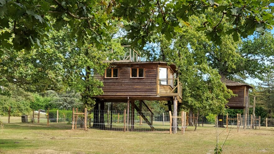 La cabane dans les arbres - Le Nid dans les Bruyères