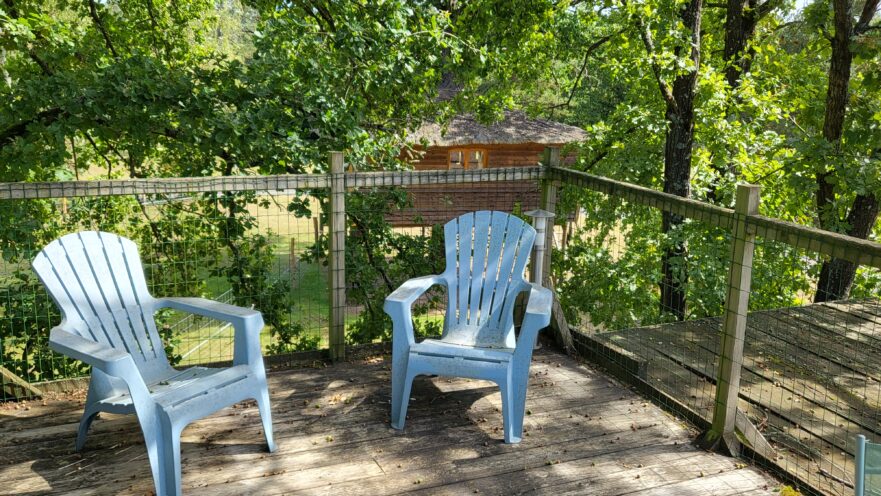 La cabane dans les arbres - Le Nid dans les Bruyères