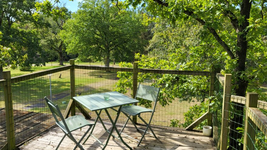 La cabane dans les arbres - Le Nid dans les Bruyères